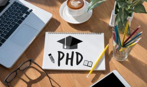 IRFM 2021 PhD Subjects