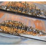 Une &laquo;&nbsp;feuille de route&nbsp;&raquo; sur le d&eacute;fi de l&rsquo;endommagement des composants face au plasma par les &eacute;lectrons d&eacute;coupl&eacute;s dans les tokamaks