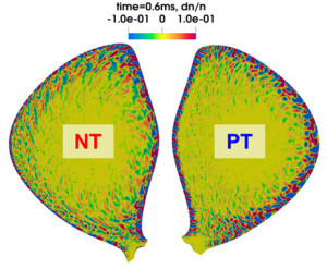 Des simulations menées à l’IRFM confirment l’intérêt des plasmas à triangularité négative